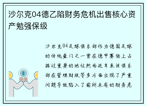 沙尔克04德乙陷财务危机出售核心资产勉强保级