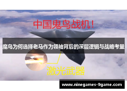 魔鸟为何选择老马作为领袖背后的深层逻辑与战略考量